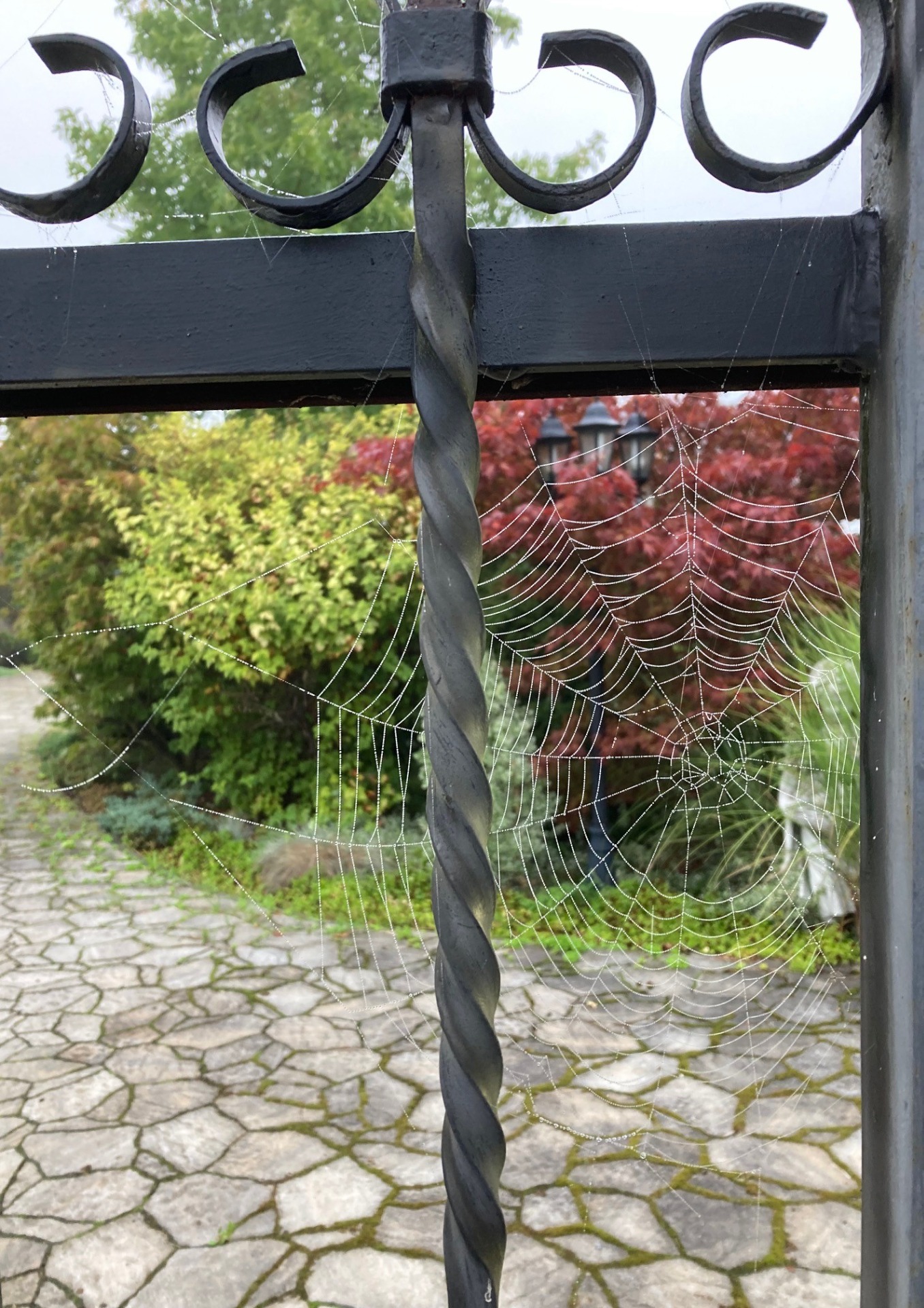 foto: Dajana Zápalková, Zlatý podzim