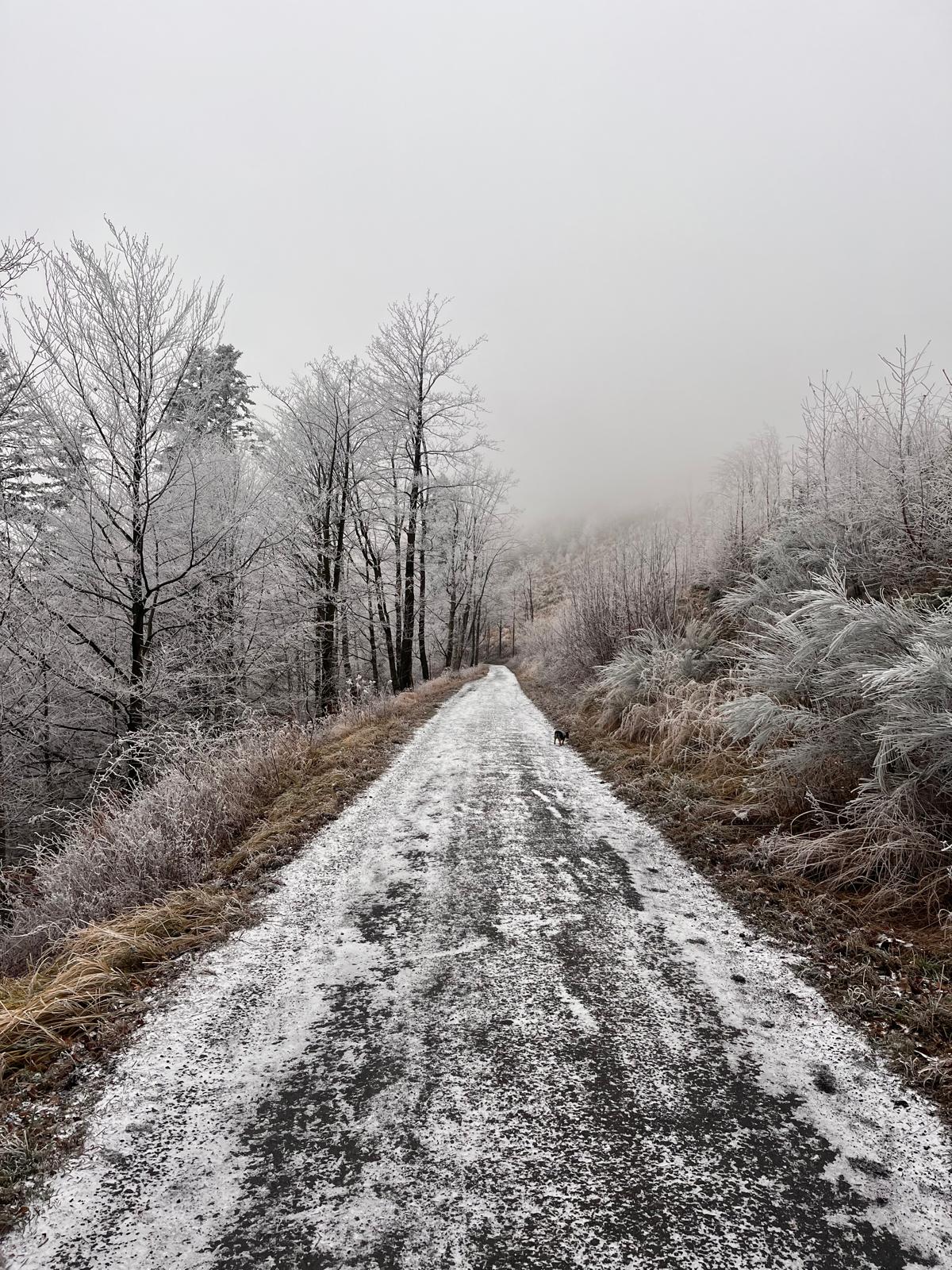 foto: Šárka Davidová