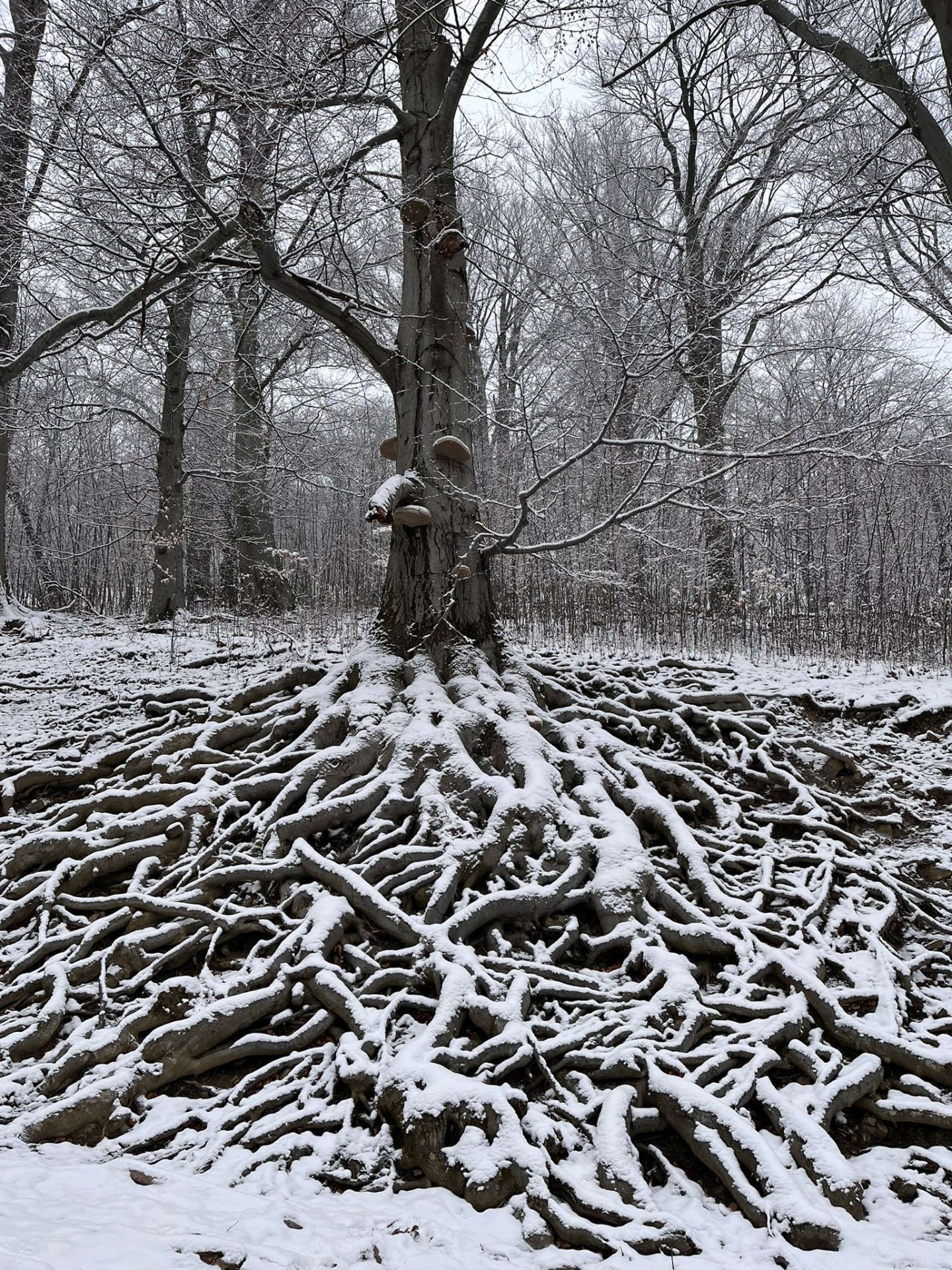 foto: Šárka Davidová